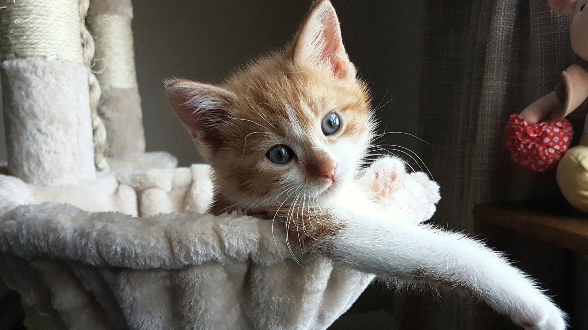 黑白棋盘上的极地风暴，韩国战术机器如何冰封冰岛狂想